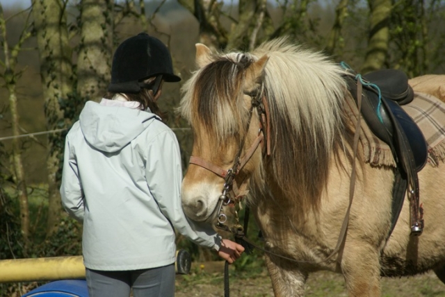  Comunicación con el caballo Stage Must 